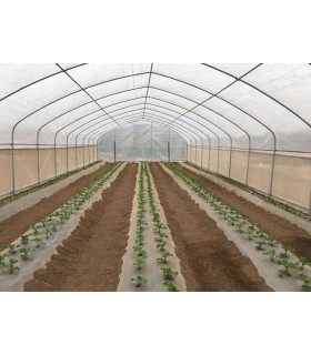 Invernadero Túnel 320 Mts2 + Ventanas Laterales Con Manilla